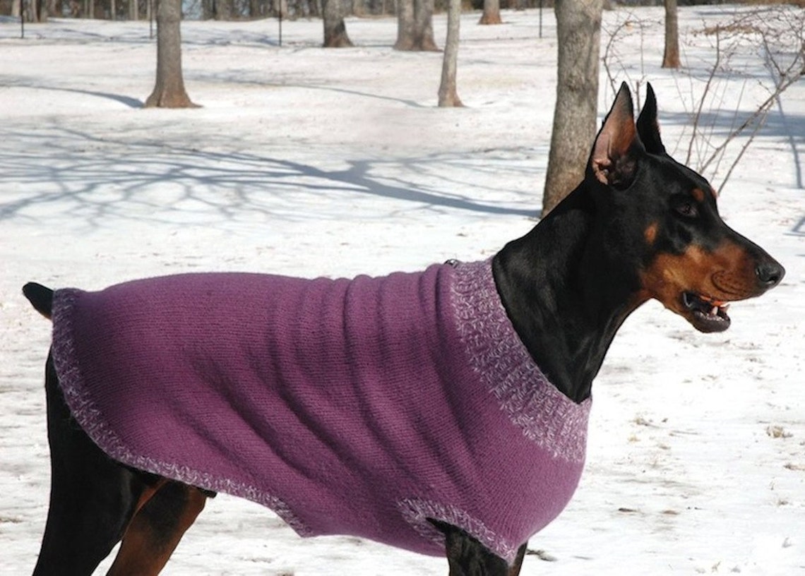 Knitting Pattern for XL Dog Sweater XL Felted Dog Sweater Pattern PDF