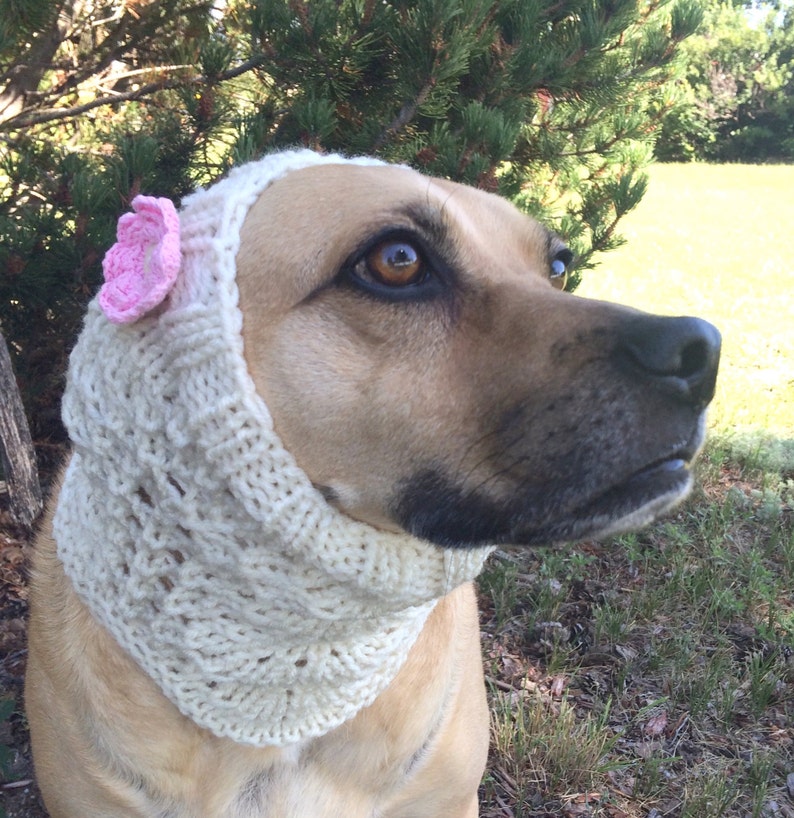Lace Dog Snood PATTERN for Size Medium to Large Dog Knitting Etsy