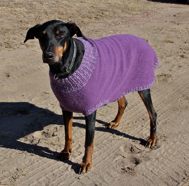 Knitting Pattern for XL Dog Sweater XL Felted Dog Sweater Pattern PDF