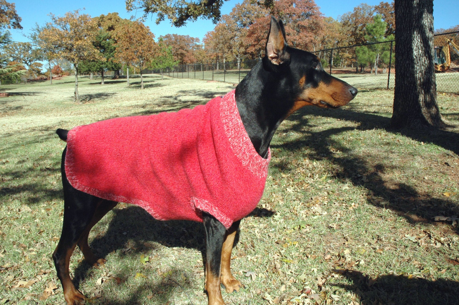Knitting Pattern for XL Dog Sweater XL Felted Dog Sweater Pattern PDF