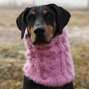 May include: A Doberman Pinscher dog wearing a pink cable-knit cowl. The dog has black fur with brown markings around the muzzle and eyes. The background is blurred, with muted tones of green and brown.