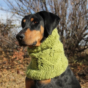 May include: A black and brown dog wearing a green knitted neck warmer. The dog is looking to the left of the frame. The dog is outdoors in a natural setting.