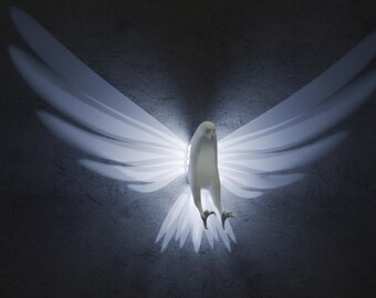 Lámpara de pared de águila con archivo STL 3D, lámpara de pared con diseño de pájaro, lámpara de pared de águila DIY de baja poli, archivo digital para impresión 3D, decoración de pared moderna de águila