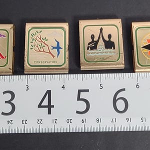May include: Six square gold-toned metal badges with enamel graphics and text, including Family Living, Camping, Conservation, Hiking, and First Aid, arranged horizontally above a ruler showing approximately 8.5 inches in total length.