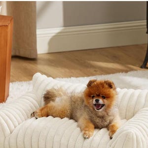 May include: A small, fluffy Pomeranian dog with orange and tan fur lying on a rectangular, cream-colored pet bed. The bed features a soft, ribbed, corduroy-like texture with raised sides and a plush, cushioned base for comfort and support.