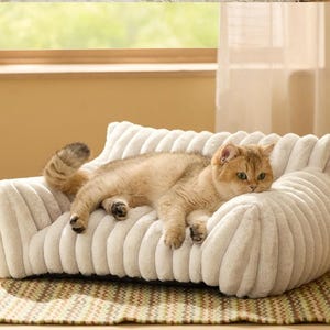 May include: A cream-colored, plush pet sofa with a ribbed, tufted texture and rounded armrests. A light brown tabby cat with green eyes is lying across the center of the soft, cushioned seat, resting its body against the high, padded backrest.