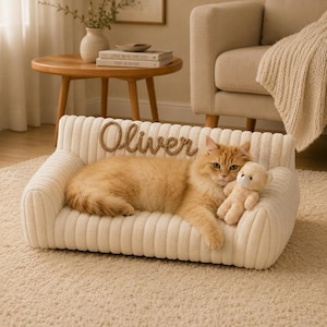 May include: A cream-colored, ribbed pet sofa featuring the name Oliver embroidered in brown rope script on the backrest. A long-haired orange cat is lying on the sofa, holding a small, light brown plush teddy bear with a white muzzle.