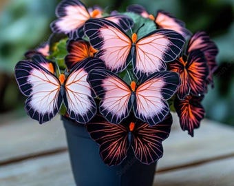 50 Heirloom Butterfly Coleus Seeds | Rare Ornamental Foliage Plant