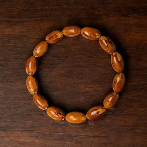 Pode incluir: Uma disposição circular de contas ovais polidas em tons variados de castanho. As contas têm um acabamento brilhante e estão dispostas sobre uma superfície de madeira escura. As contas parecem estar enfiadas, formando uma pulseira ou colar.