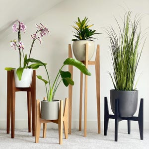 May include: Four indoor plant stands of varying heights and styles. The stands are made of wood and painted black. The plants include an orchid, a leafy green plant, and tall grass. The pots are white, gray, and black.