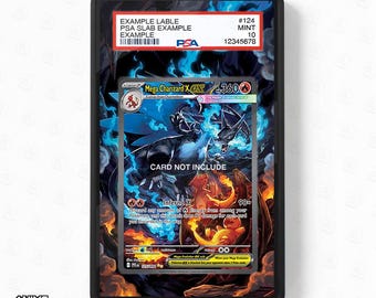 Mega Charizard X ex 125/094 SIR SAR Phantasma Flames Extended Art Display Cases