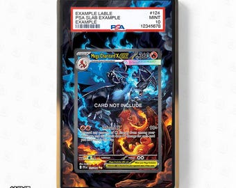 Mega Charizard X ex 125-094 SIR SAR Phantasma Flames Display Cases