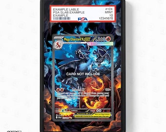 Mega Charizard X ex 125-094 SIR SAR Phantasma Flames Extended Art Display Cases