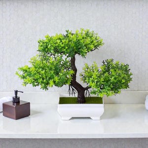 Peut inclure: Un petit bonsaï artificiel avec des feuilles vert vif et un tronc brun foncé. L'arbre est dans un pot rectangulaire blanc avec une base verte. Un distributeur de savon marron est à gauche.