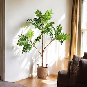 May include: A tall, artificial tree with vibrant green leaves and a brown trunk, potted in a woven basket. The tree stands against a white wall, with sunlight casting shadows. The decor adds a touch of nature to the interior.
