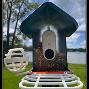 Bird Buddy Feeder Accessory Kit, Large Perch, Fat Ball Holder and Extender Arm