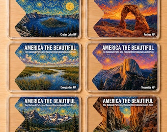 Starry Night Acadia National Park Pass Sleeve, America the Beautiful Pass Protector, Travel Accessory, Gift for Hikers