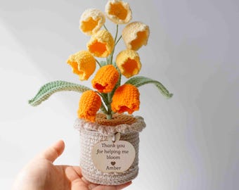 Personalised Thank You Teacher Gift/Gifts Crochet Plant Pot ,Helping Me Gifts being part of my story, ideas gift for teacher,teacher present
