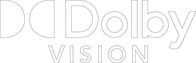 May include: The Dolby Vision logo features the stylized double D symbol followed by the word Dolby in a clean, sans-serif font, with the word VISION positioned directly underneath in a matching, thinner, uppercase sans-serif typeface.