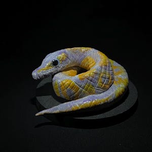 Ball Python Sculpture Art, Realistic Snake Statue, Handmade Reptile Collectible, Gothic Home Decor immagine 2