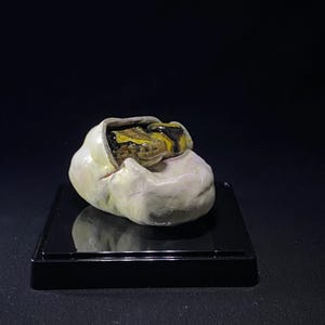 May include: A ceramic sculpture of a snake hatching from an egg. The snake is yellow and black, and the egg is white with yellow and pink accents. The sculpture is on a black base.