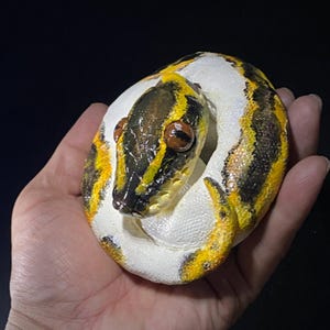 Ball Python Sculpture Art, Realistic Snake Statue, Handmade Reptile Collectible, Gothic Home Decor