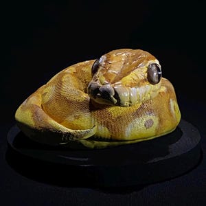 Ball Python Sculpture Art, Realistic Snake Statue, Handmade Reptile Collectible, Gothic Home Decor