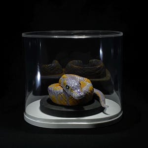 Ball Python Sculpture Art, Realistic Snake Statue, Handmade Reptile Collectible, Gothic Home Decor immagine 9