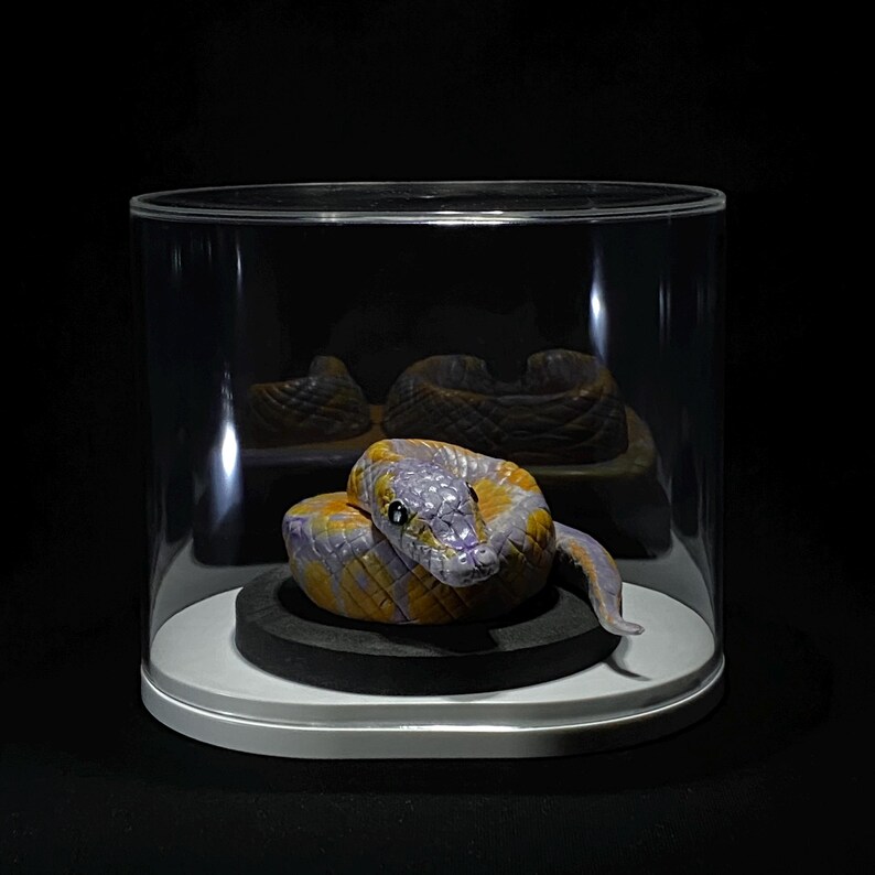 Ball Python Sculpture Art, Realistic Snake Statue, Handmade Reptile Collectible, Gothic Home Decor immagine 9