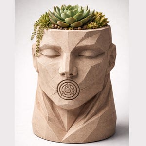 Skulptural vas STL-paket | Ansikts- och djurplanter, 3D-utskriftsfiler bild 4