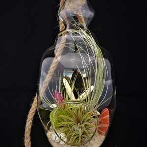 May include: A glass terrarium with a rope hanger, filled with sand, seashells, and air plants. The terrarium is shaped like a teardrop and has a clear glass body.