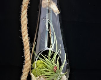 Hanging Glass Air Plant Terrarium: Coastal Home Decor