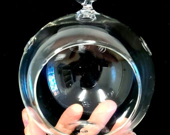 Terrarium en verre transparent vide de 4 po. Rond Base plate avec possibilité d'accrocher RD104