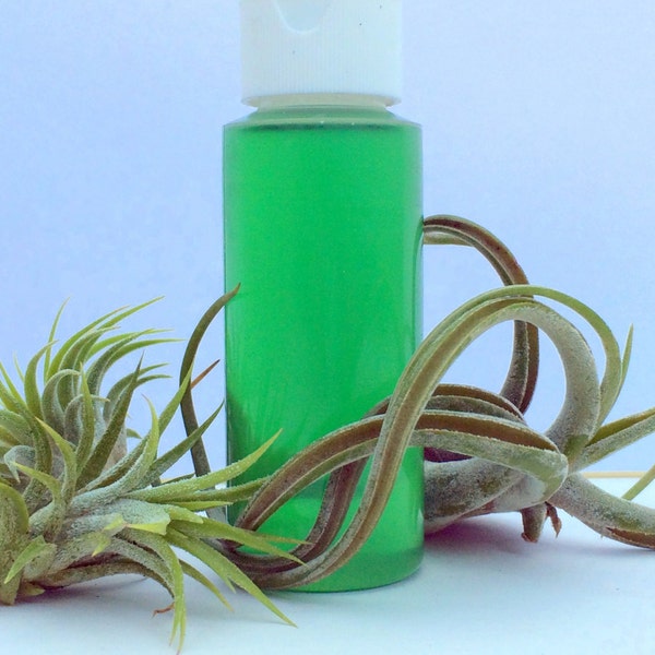 Fertilizer for your Air Plants