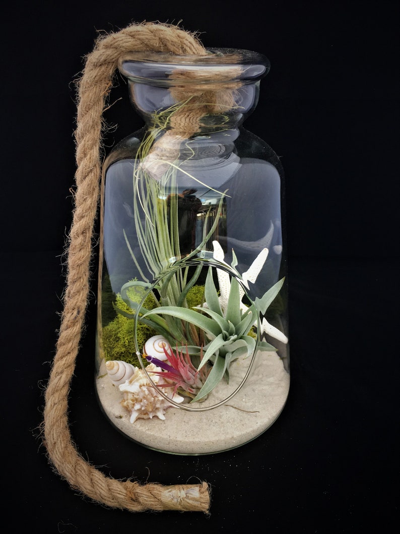 4 Globi Sospesi In Vetro Per Terrario - Sfere Decorativo Con Corda Di Spago Per Piante E Decor