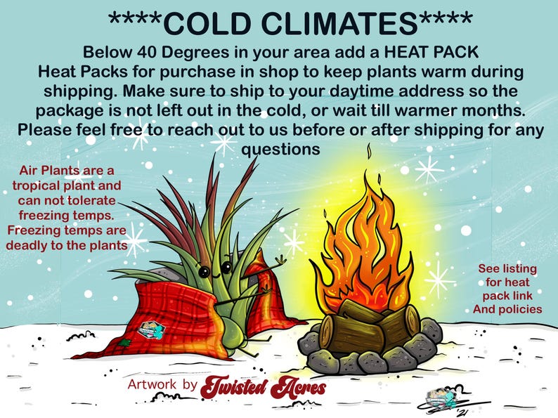 May include: Illustration of two air plants bundled in red blankets, with a campfire in the background. The text reads "****COLD CLIMATES**** Below 40 Degrees in your area add a HEAT PACK Heat Packs for purchase in shop to keep plants warm during shipping. Make sure to ship to your daytime address so the package is not left out in the cold, or wait till warmer months. Please feel free to reach out to us before or after shipping for any questions Air Plants are a tropical plant and can not tolerate freezing temps. Freezing temps are deadly to the plants Artwork by Twisted Acres See listing for heat pack link And policies"