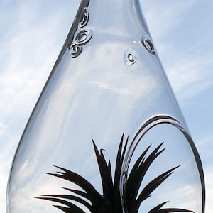 Tear Drop Orb Hanging Air plant Planter kit 5 inches TD105