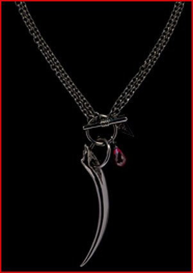 May include: A black chain necklace with a silver pendant shaped like a fang. The pendant has a small red gemstone attached to it.