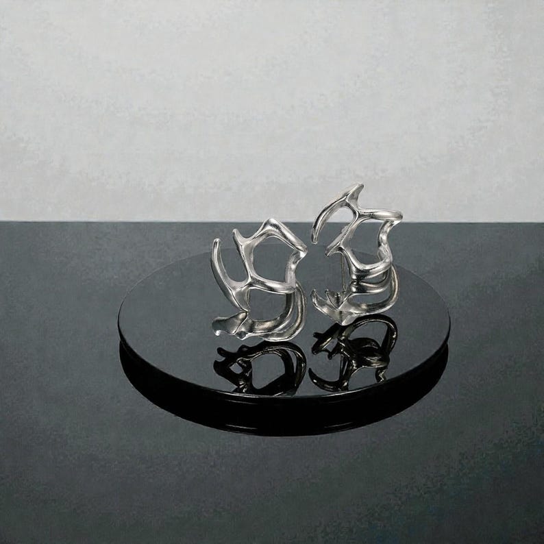 K&ouml;nnte beinhalten: Zwei abstrakte silberne Ringe mit organischem, offenem Design. Die Ringe werden auf einer schwarzen, reflektierenden Oberfl&auml;che pr&auml;sentiert, wodurch ein Spiegeleffekt entsteht. Der Hintergrund ist ein Grau-Wei&szlig;-Verlauf.