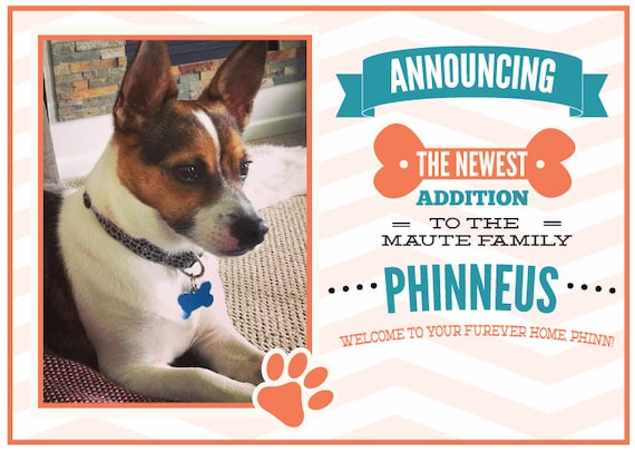 Welcome home sale dog rescue
