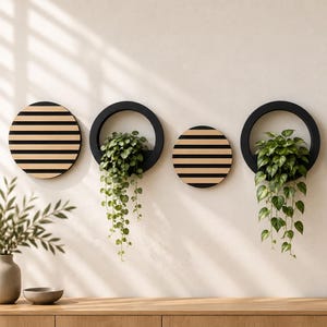 May include: A wall-mounted display consisting of three circular black frames containing green trailing plants and three solid circular wooden discs featuring horizontal black stripes, all arranged in a row on a plain light-colored wall surface.