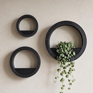 Puede incluir: Tres maceteros de pared circulares negros de diferentes tamaños. Cada marco cuenta con un estante horizontal plano en la mitad inferior. Un macetero grande a la derecha contiene una planta verde colgante con pequeñas hojas en forma de corazón.
