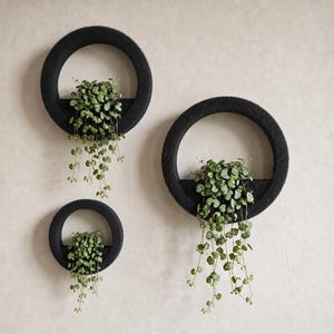 Puede incluir: Tres maceteros de pared circulares negros con acabado texturizado, cada uno con una planta verde colgante de pequeñas hojas en forma de corazón. Los maceteros están dispuestos en grupo, con dos círculos más grandes y uno más pequeño.