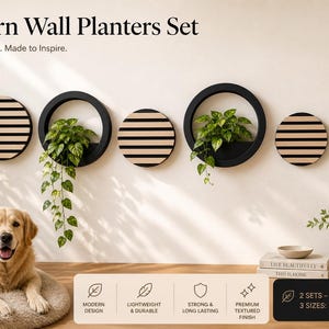 May include: A set of modern wall planters with a minimalist design. The set includes six black circular planters with wooden accents, some holding greenery. The sizes are 18, 24, and 30 cm. The image also features a golden retriever.