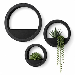 May include: Three circular black wall-mounted planters of varying sizes. The largest is empty, the medium one contains a spiky green succulent and a trailing string of pearls plant, and the smallest holds a single rosette-shaped green succulent.