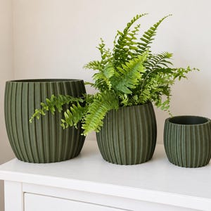 May include: Three olive green cylindrical planters with a vertical ribbed texture. The planters are arranged in a row from largest to smallest, with a vibrant green fern plant growing out of the centre planter, creating a layered display.