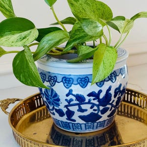 May include: A variegated pothos plant with green and cream heart-shaped leaves potted in a round white ceramic planter featuring blue floral and geometric patterns, resting on a circular gold-toned metal tray with decorative handles.