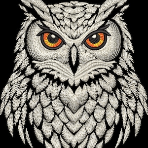 Vit uggla broderidesign, digital fil för maskinbroderi på svart textil, realistiskt skogsfågelmönster, majestätisk nattfågel bild 1
