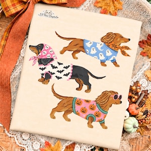 Peut inclure: Un t-shirt beige clair illustré de trois teckels en tenue d'Halloween. L'un porte un foulard à crânes et un pull à chauves-souris, un autre un pull à fantômes et une écharpe à toiles d'araignée, et le troisième un pull à citrouilles et des lunettes.