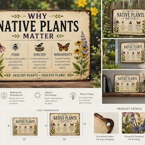 May include: A rectangular metal sign with a cream background featuring the text Why Native Plants Matter, illustrations of flowers, a bee, a bird, and a butterfly, with educational text about food, shelter, and biodiversity, plus pre-drilled holes.